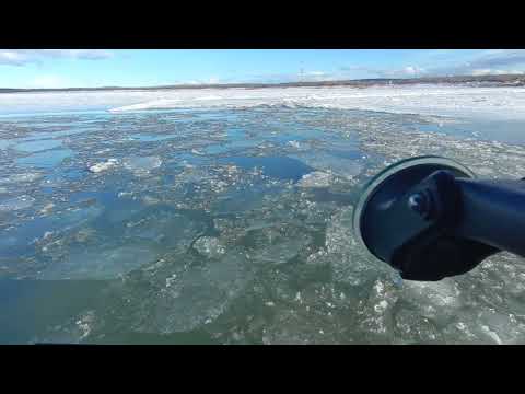 Видео: 9 ноября 2025 г.