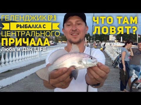 Видео: ГЕЛЕНДЖИК Ep.9 Рыбалка с центрального причала в Геленджике. Что там ловят 13.09.2018