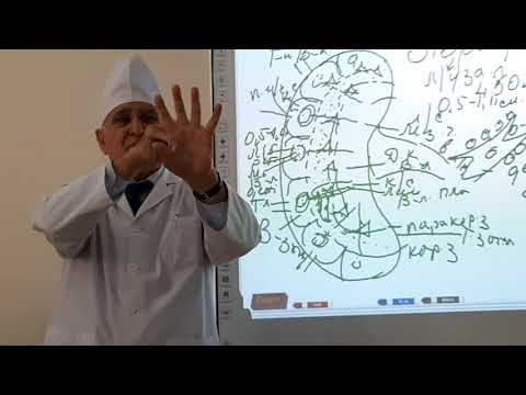 Видео: Гистология. Органы кроветворения (2-я часть). Садриддинов А.Ф. #tashpmi#ТашПМИ