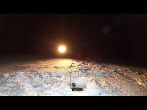 Видео: НОЧНАЯ РЫБАЛКА НА ВОДОХРАНИЛИЩЕ / NIGHT FISHING ON THE RESERVOIR