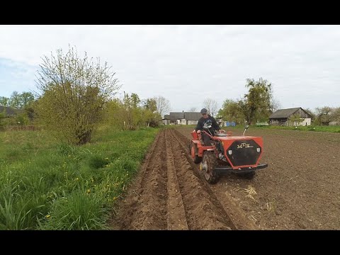 Видео: Как сильно не напрягаясь посадить картошку мотоблоком.