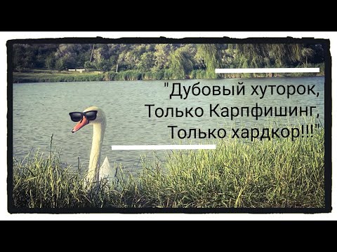 Видео: Дубовый Хуторок