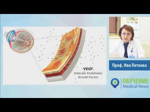 Видео: Проф. Ива Петкова - Диабетна ретинопатия