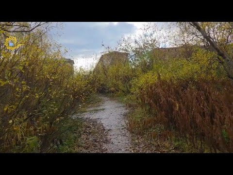 Видео: Гуляем по Воргашору. Часть 2. Катаева,    баня, парк, школа 32...