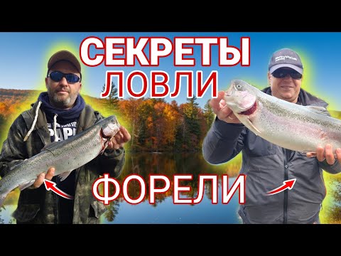 Видео: Ловля Крупной ФОРЕЛИ \ Доступ к Секретному Пруду в Германии !