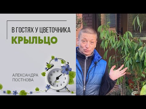 Видео: В гостях у закоренелого цветочника | Весна и осень - какие цветы выносить на улицу | Крыльцо и сад