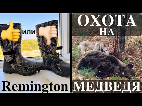 Видео: Ремингтон - для какой охоты сгодятся ? Охота на Медведя.