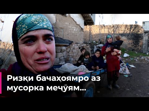 Видео: Ризқи бачаҳоямро аз мусорка меҷӯям...