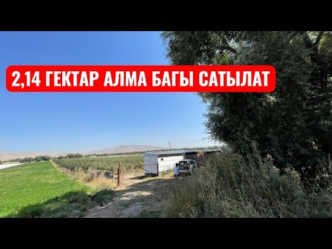 Видео: АЙДОО ЖЕР АЛМА БАГЫ САТЫЛАТ 2025