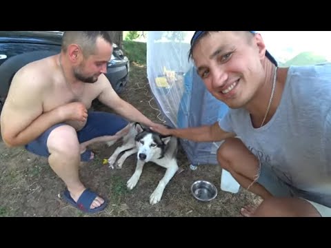 Видео: КРУПНЫЙ Лещ на фидер! Клев как из ПУЛЕМЕТА! Река Белая.