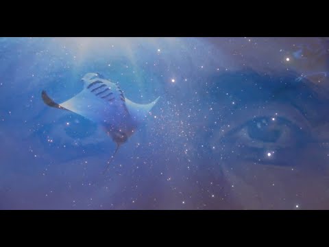 Видео: МЕНЕСТРЕЛЬ. "Я Ухожу..."