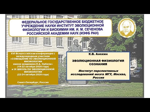 Видео: К.В. Анохин ЭВОЛЮЦИОННАЯ ФИЗИОЛОГИЯ СОЗНАНИЯ
