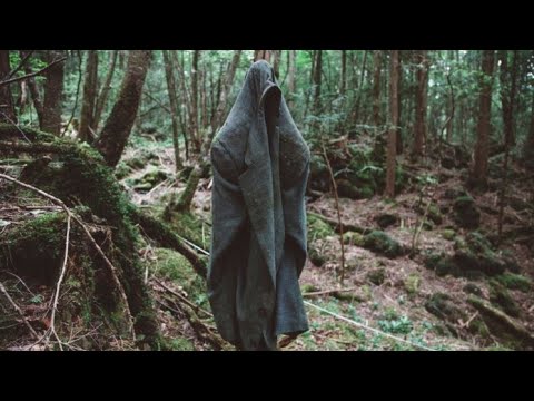 Видео: "Белочка". Мистика в реальной жизни.