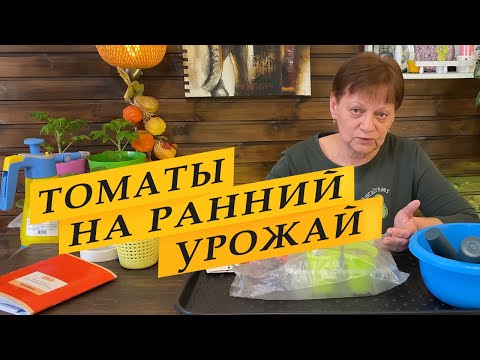 Видео: Посев семян томатов на рассаду для раннего урожая. Про фитоспорин ( маточный раствор)