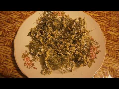 Видео: Мазь для козы