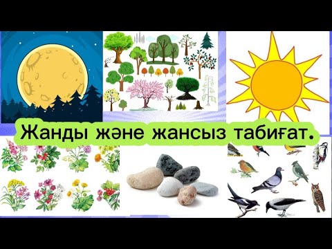 Видео: Жанды және жансыз табиғат. Жаратылыстану.