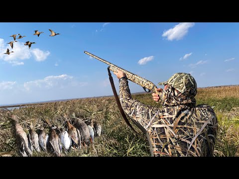 Видео: ОХОТА НА УТКУ В ОКТЯБРЕ | Северной все больше | Налили заброды