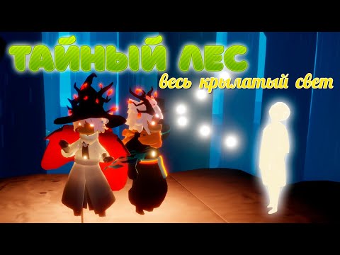 Видео: Весь крылатый свет - Тайный лес [ Sky: children of the light ]