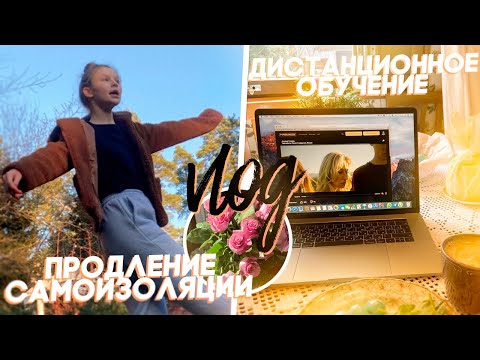Видео: 38 день дома / ПРОДЛЕНИЕ КАРАНТИНА ВЛОГ // как проходят уроки