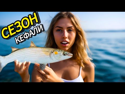 Видео: МОРСКАЯ ЛОВЛЯ КЕФАЛИ с БЕРЕГА СНАСТИ и РЕЦЕПТ ПРИГОТОВЛЕНИЯ