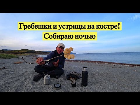 Видео: Гребешки и устрицы на костре! Собираю ночью!