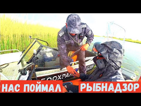 Видео: НАС ПОЙМАЛ РЫБНАДЗОР! ШТРАФ НА РОВНОМ МЕСТЕ,