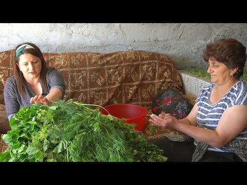 Видео: Էսքան ՓԻՓԵՐԹԸ Էս Ի՞նչ Դենք Անիլ - Շամշադինի Համը - Шамшадин