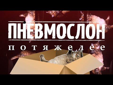 Видео: ПНЕВМОСЛОН - «Потяжелее» 11.11.2023 \ LIVE@1930 Moscow