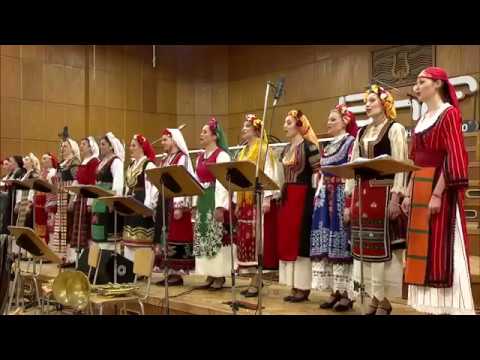 Видео: Поди бульо