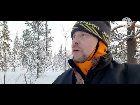 Видео: В Тайгу на снегоходе ,пробираюсь сквозь заснежинные деревья.