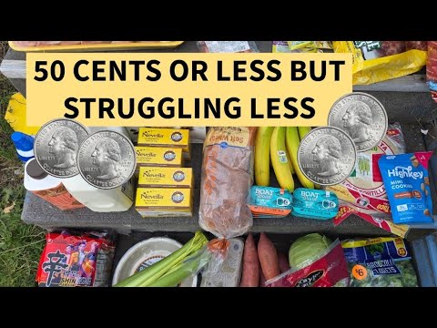 Видео: DITL: РЕАЛЬНАЯ ЖИЗНЬ С НИЗКИМ ДОХОДОМ, ТРУДЯСЬ МЕНЬШЕ!