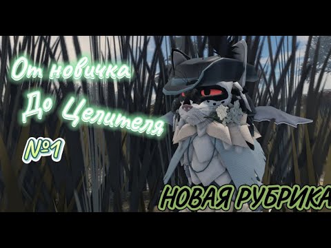 Видео: ОТ НОВИЧКА ДО ЦЕЛИТЕЛЯ | ПОМОЩЬ НОВИЧКАМ | *Новая рубрика* | *Коты воители*