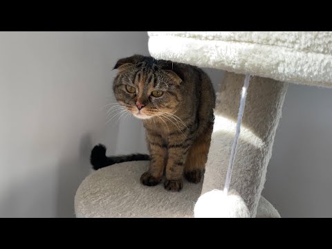 Видео: Как Марыся спасала детей из комода?) Прада пристает к Мишель) 