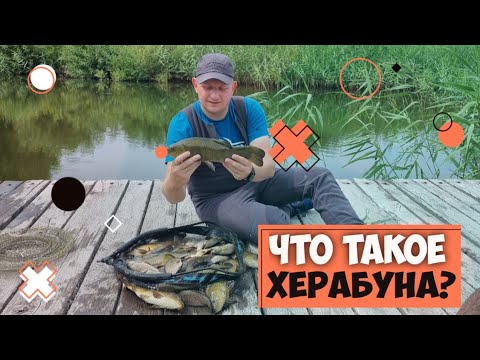 Видео: Попробовал половить на ХЕРАБУНУ. Что такое ХЕРАБУНА? Первые впечатления.