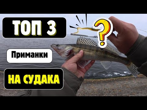 Видео: Черкаські судачки !! Топ приманок по судаку