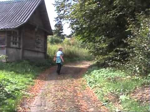 Видео: Поход в заброшенную деревню. Псковская область