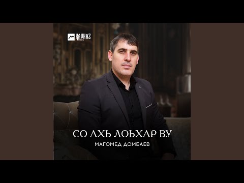 Видео: Муха со вехар ву