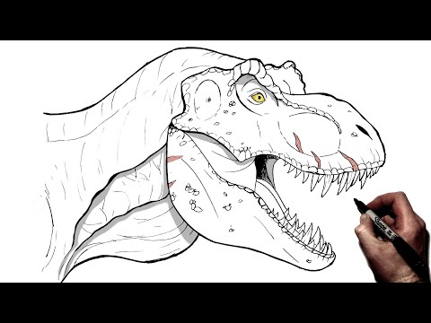 Видео: Как нарисовать тираннозавра рекса | Шаг за шагом