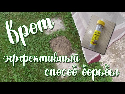 Видео: достал крот 😡 не опускай руки 😉 эффективный способ борьбы