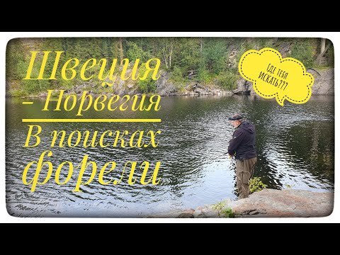 Видео: Швеция Норвегия. Часть 1