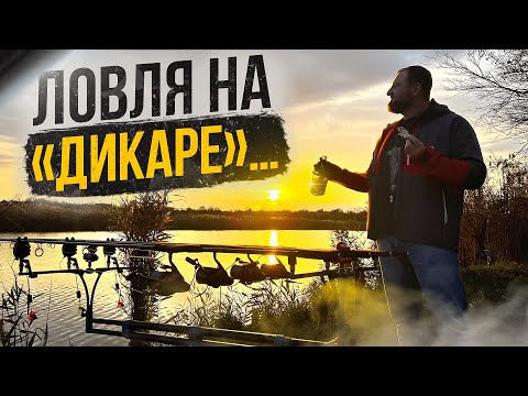 Видео: Ловля на «дикаре»! Трофейная рыба, где ты?!