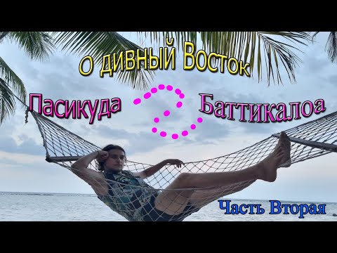 Видео: "Восточная Шри-Ланка ЧАСТЬ ВТОРАЯ " ПАСИКУДА " БАТТИКАЛОА " Что интересного ? Пляж КАЛЛАДИ