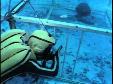 Видео: 78- Одиссея Жака Кусто - Акулы