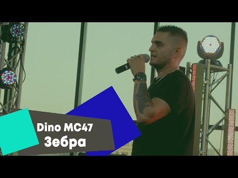 Видео: Dino MC47 - Зебра (LIVE Брать живьём на о2тв)