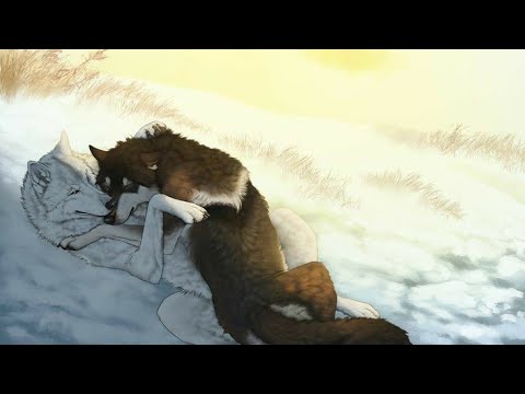 Видео: Хранители волков.Глава 12.Часть #5.