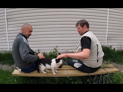 Видео: Слон: На посёлке три креста. Планы Сечина, у Ирки глюки. Цыганка Нина, Жорик'
