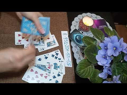 Видео: Думает ли Крестовый о Червовой даме?