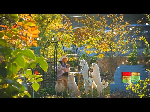 Видео: № 108. Тёплый осенний день, садоводство с собакой | Выращивание луковых