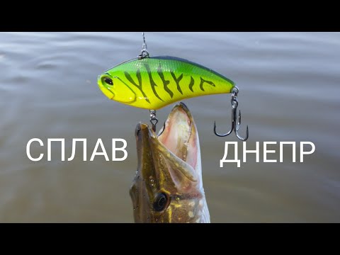 Видео: СПЛАВ по ДНЕПРУ, обычные приманки.