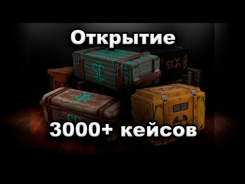 Видео: ОТКРЫТИЕ 3000+ КЕЙСОВ | 2025 ГОД | СТАЛКРАФТ | STALCRAFT:X